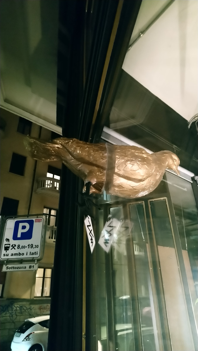 8finestre_4.JPG