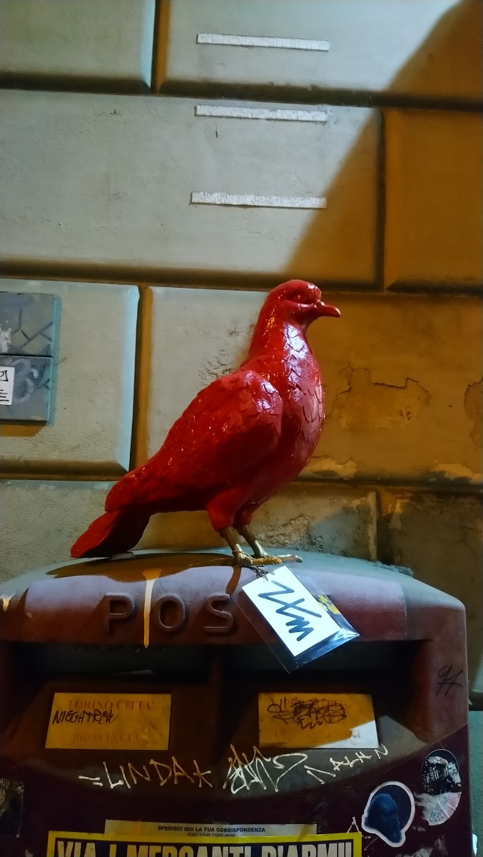 DSC_0055.JPG