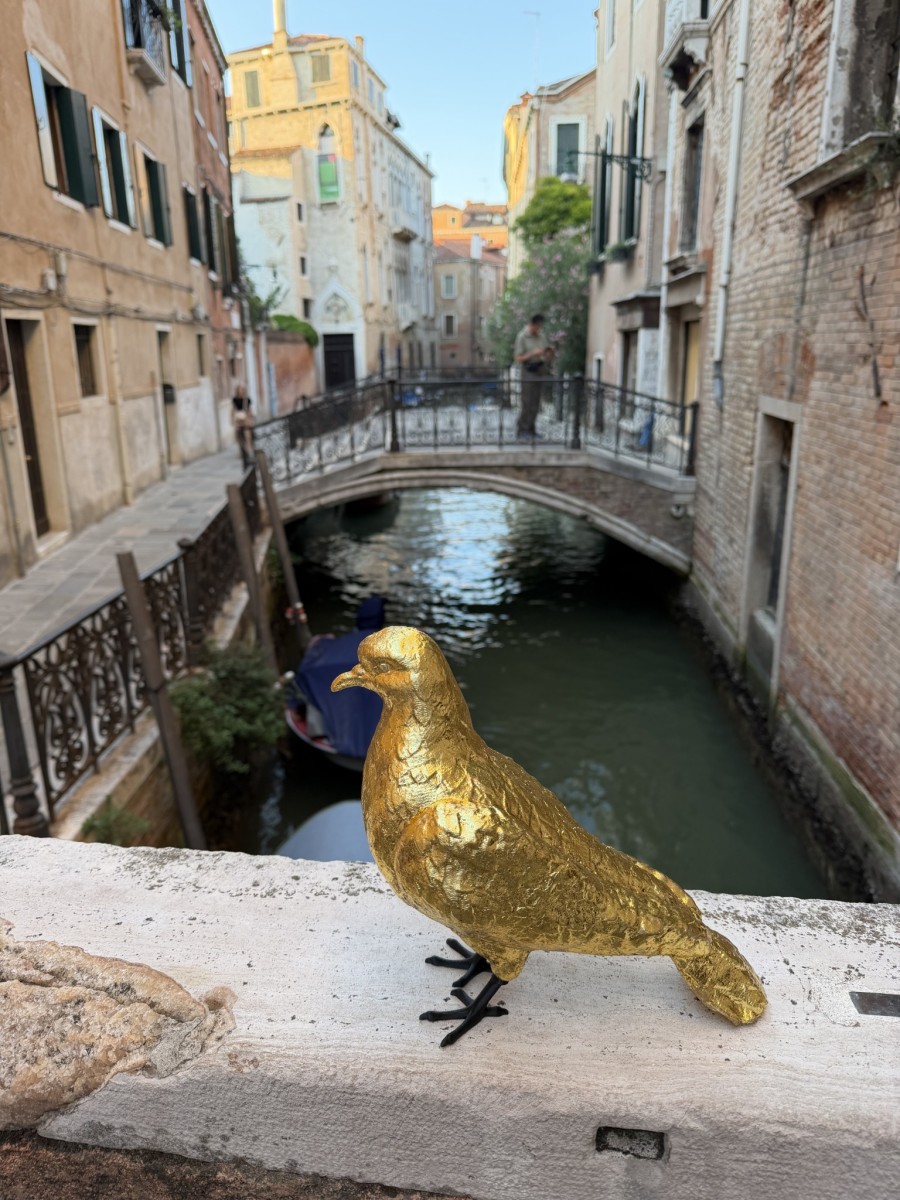 Le_avventure_di_Sbo_o_Piccion_d_Oro_05b17f.jpg