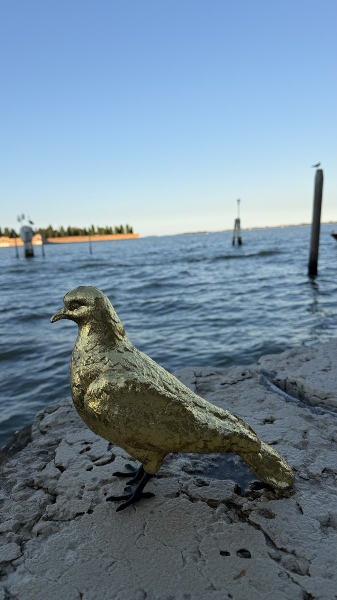 Le_avventure_di_Sbo_o_Piccion_d_Oro_110230.jpg