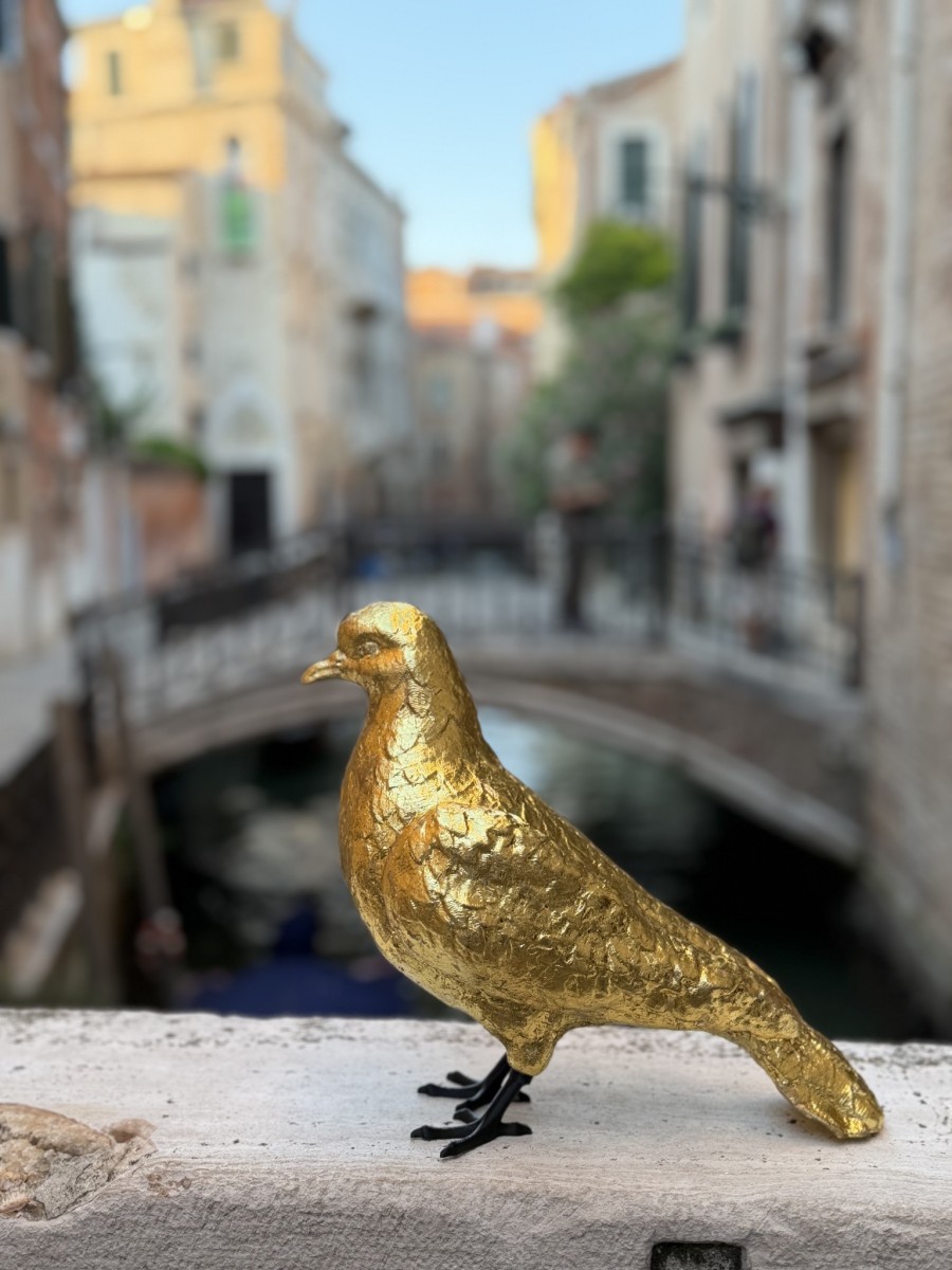 Le_avventure_di_Sbo_o_Piccion_d_Oro_6f1c4d.jpg