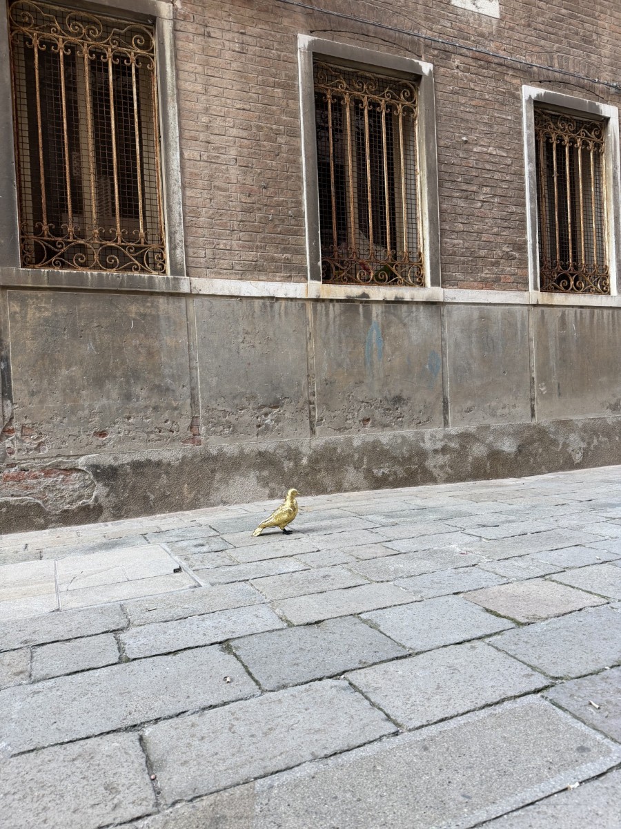 Le_avventure_di_Sbo_o_Piccion_d_Oro_fb6166.jpg