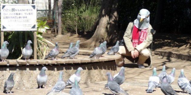 STOP THE PIGEON