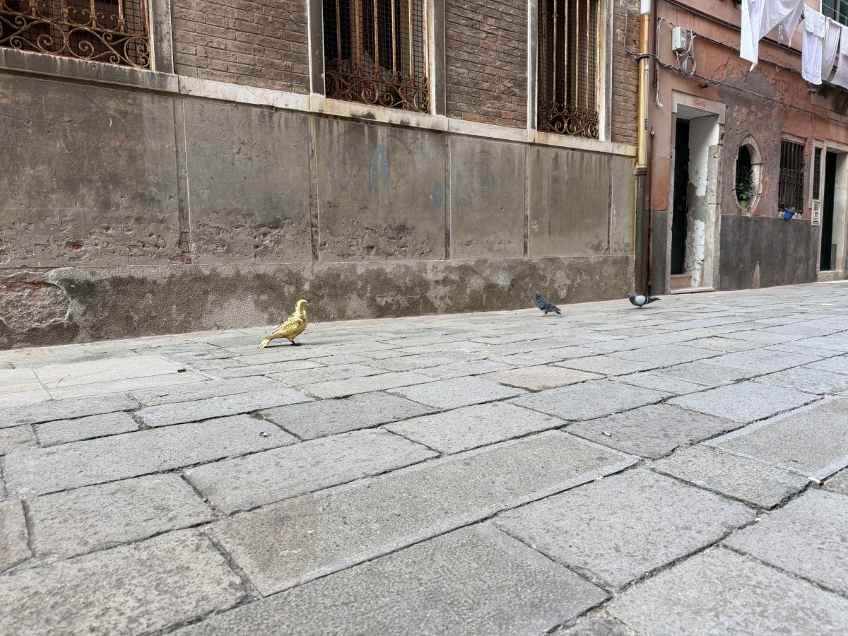 Le_avventure_di_Sbo_o_Piccion_d_Oro_0ef08c.jpg