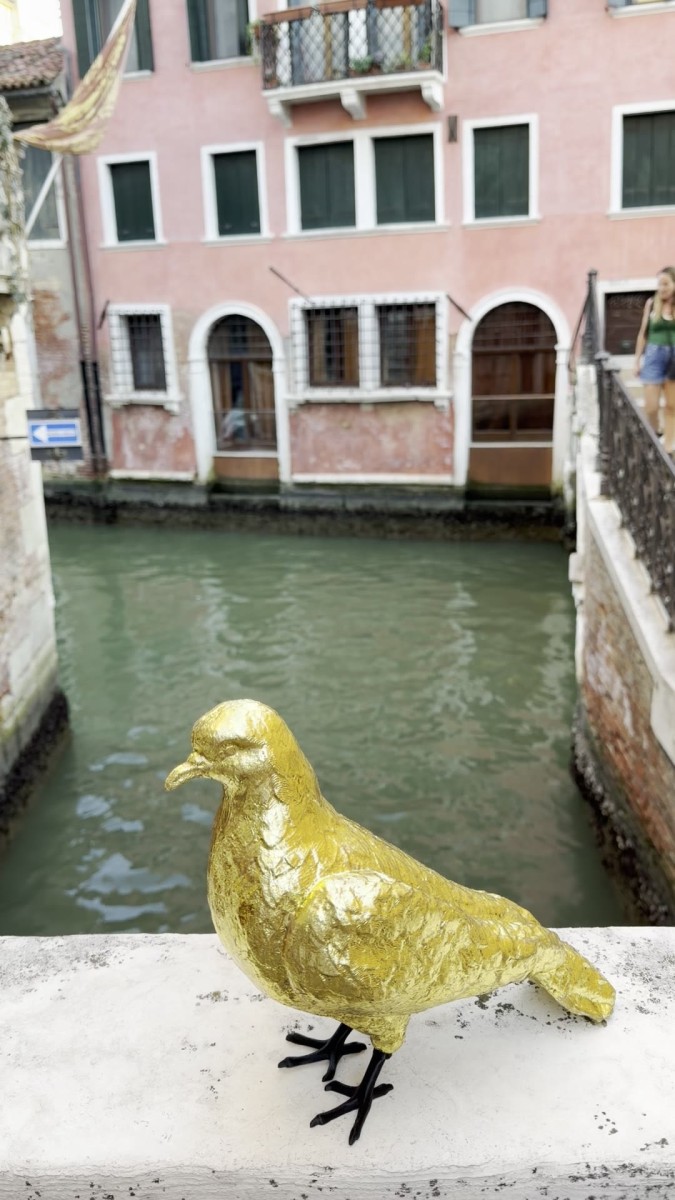 Le_avventure_di_Sbo_o_Piccion_d_Oro_487115.jpg