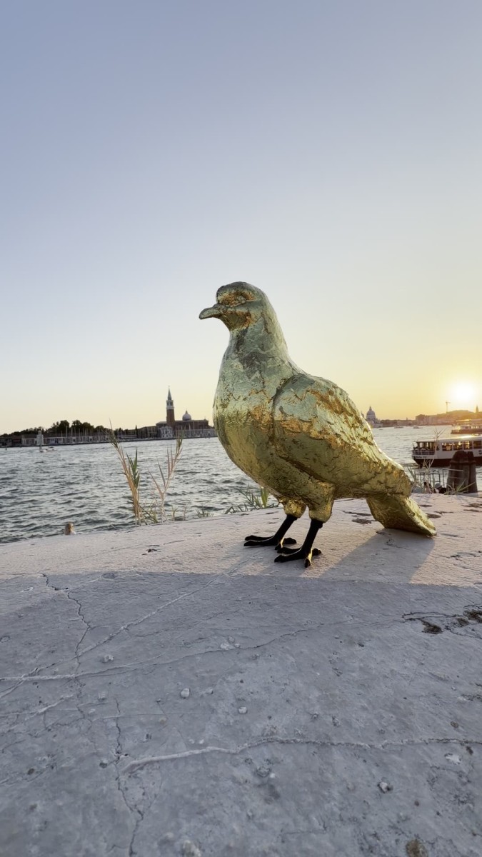 Le_avventure_di_Sbo_o_Piccion_d_Oro_a3c825.jpg