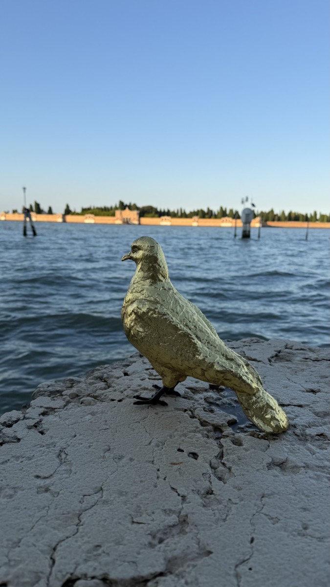 Le_avventure_di_Sbo_o_Piccion_d_Oro_d62b8e.jpg