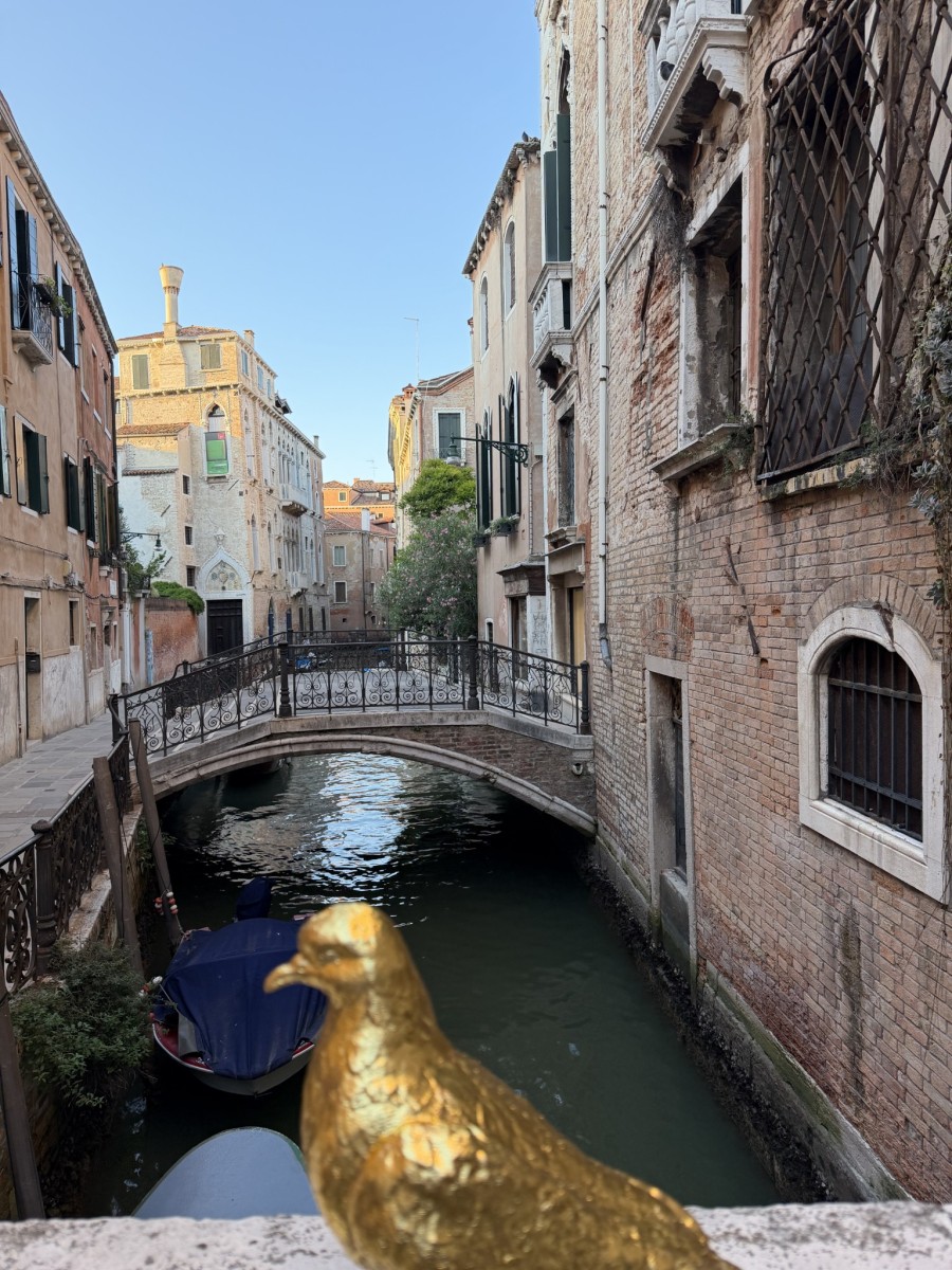 Le_avventure_di_Sbo_o_Piccion_d_Oro_ef6e0f.jpg