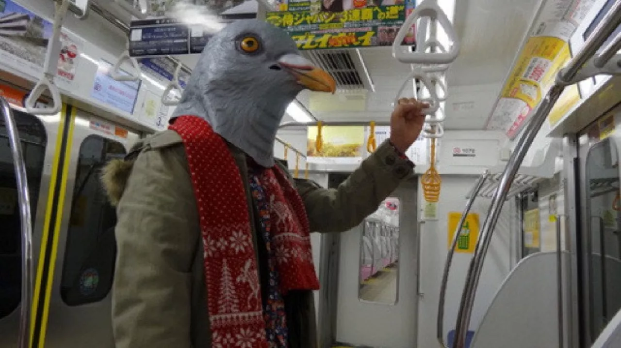 p05.webp