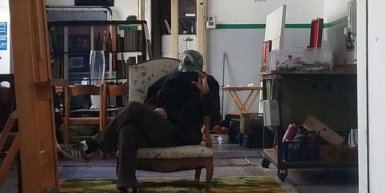 zakapigeonD.jpg