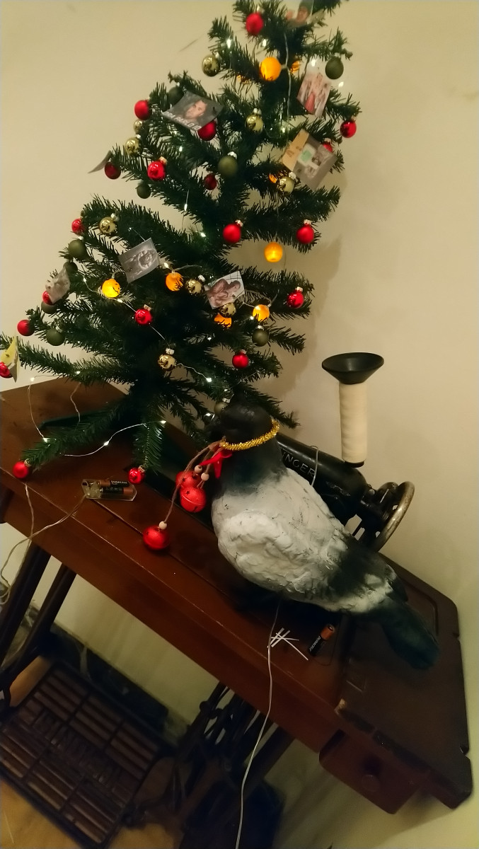 DSC_0150.JPG