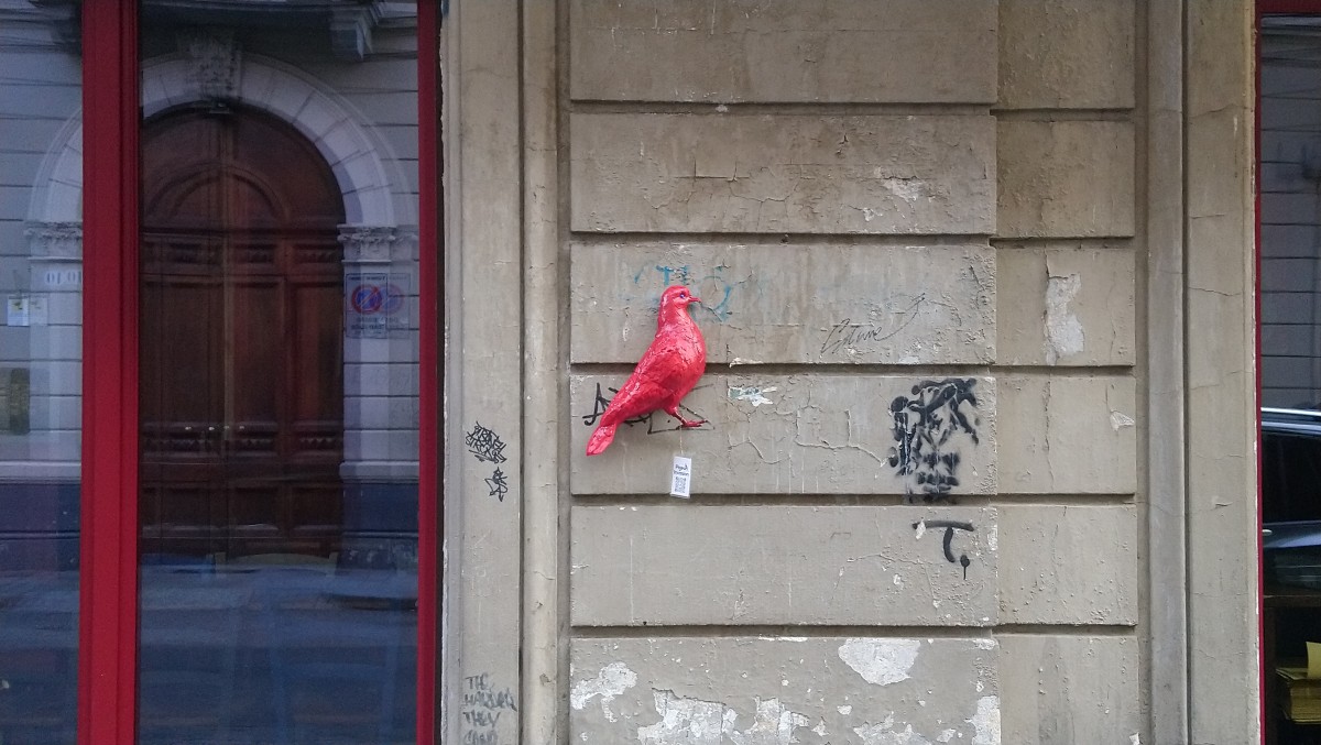 DSC_0054.JPG