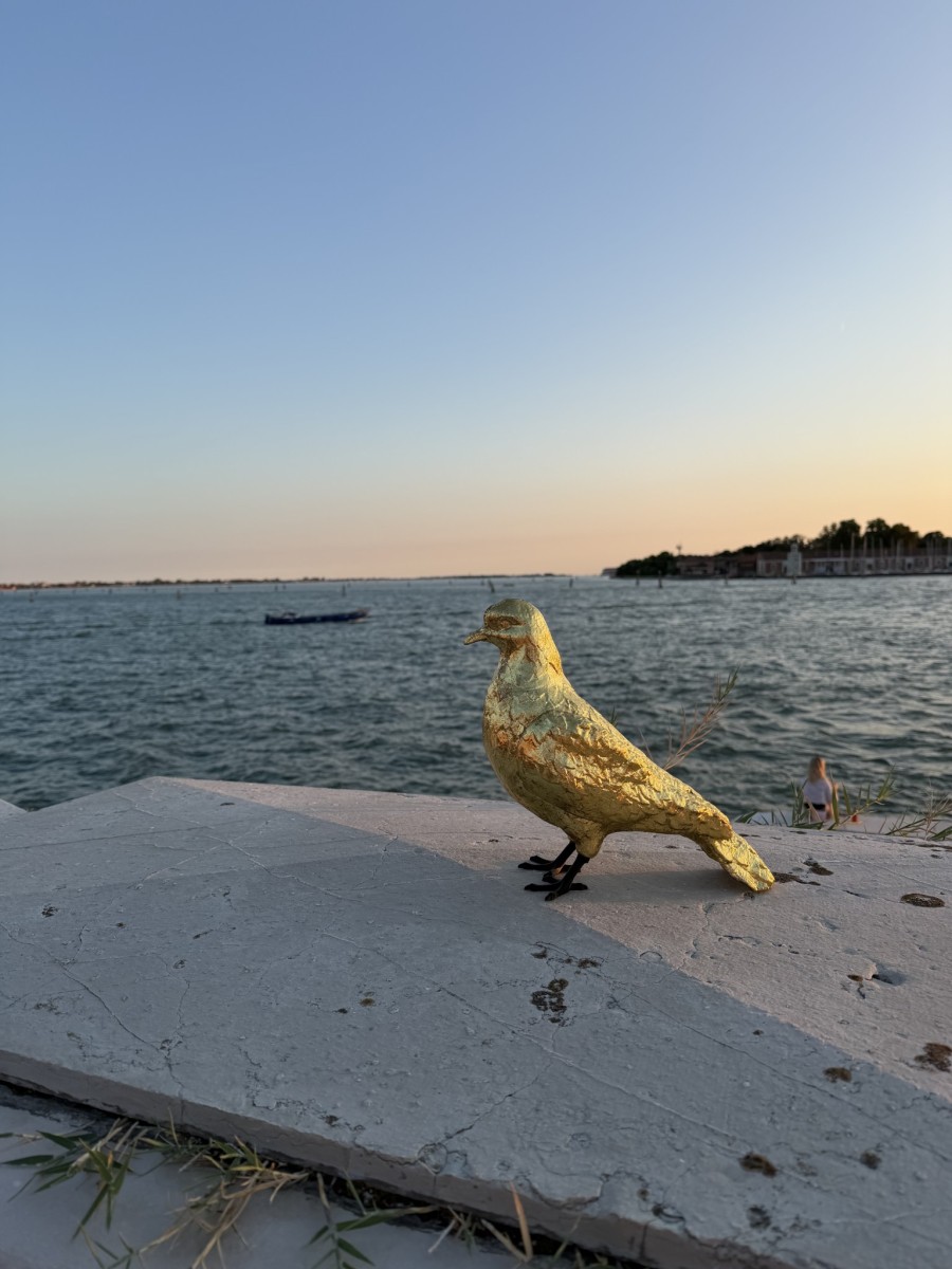 IMG_7900.jpg