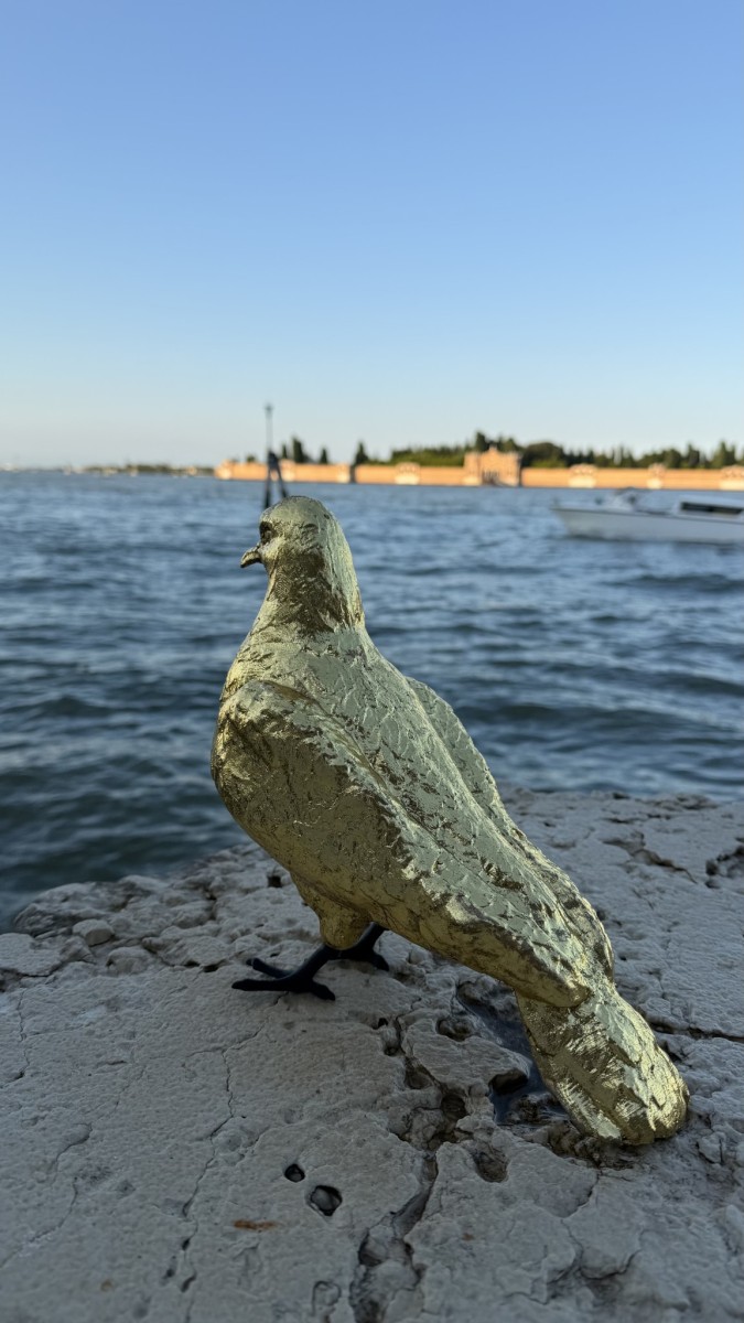 Le_avventure_di_Sbo_o_Piccion_d_Oro_b81107.jpg